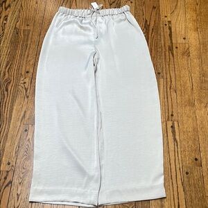 NWT Banana Republic sz L wide leg pull on pants drawstring waist Oyster sheen